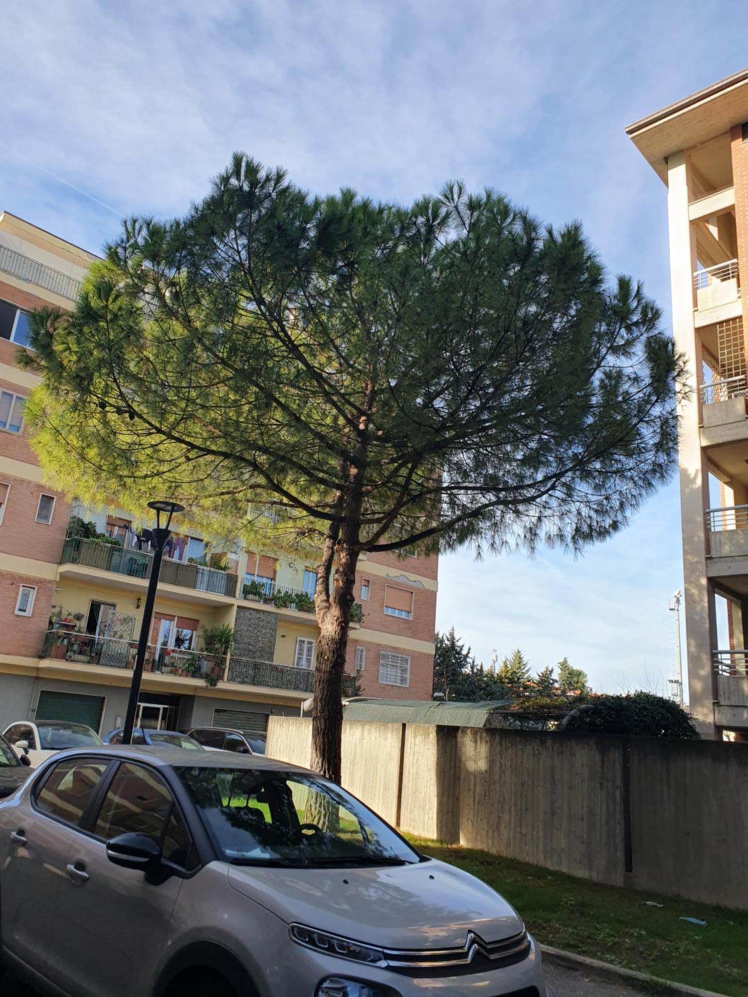 Appartamento Di Delfina Pescara Luaran gambar